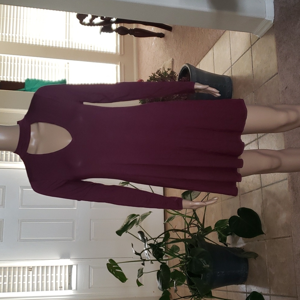 Express s sexy slinky swing longsleeve dress choker neckline plunging v mauve